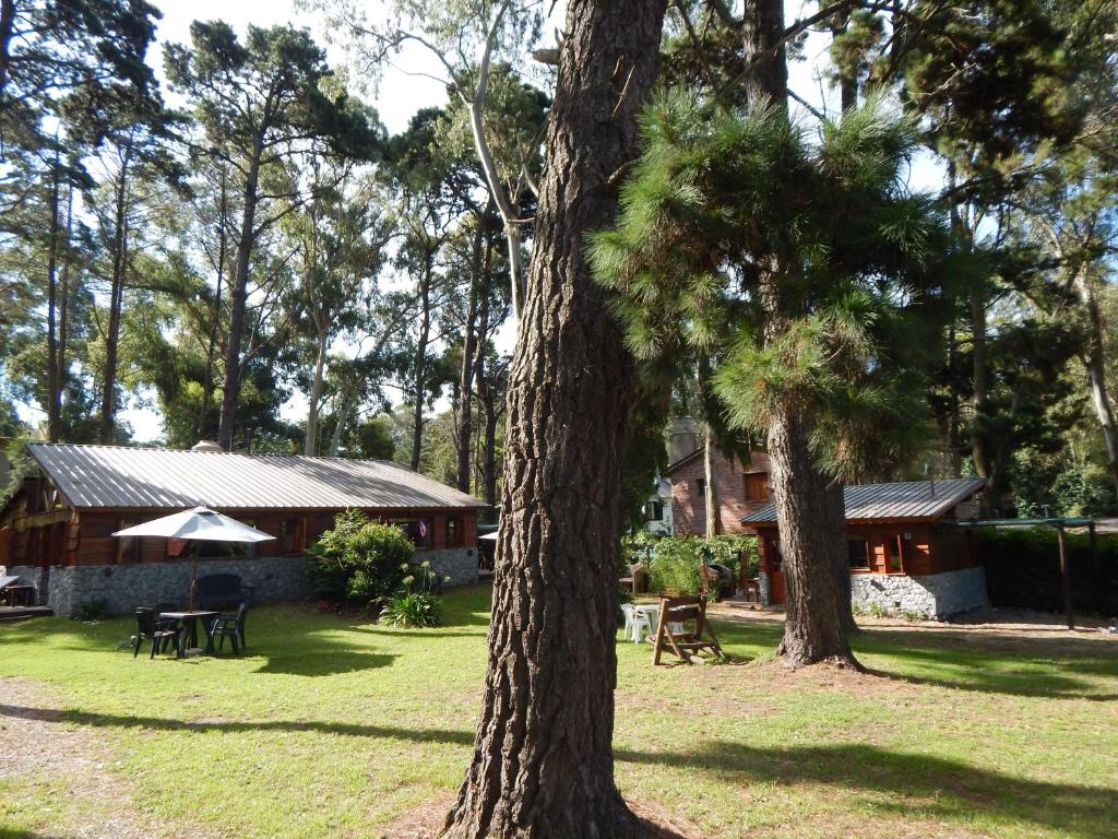 Cabañas Altos del Bosque