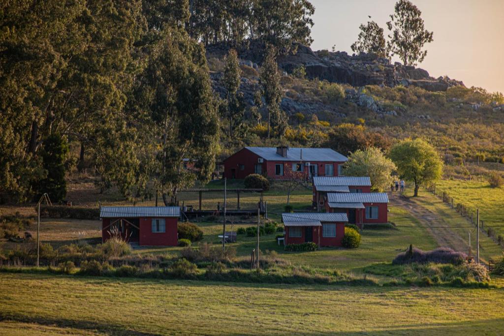 Cabañas Los Pioneros