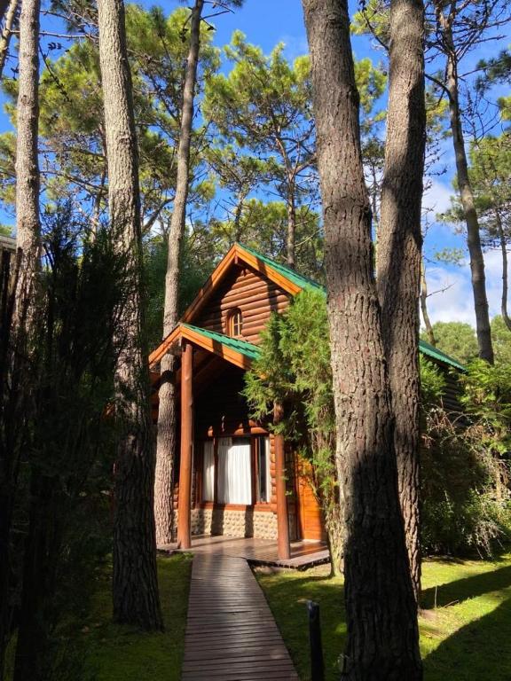 Cabañas y Apart Utopia