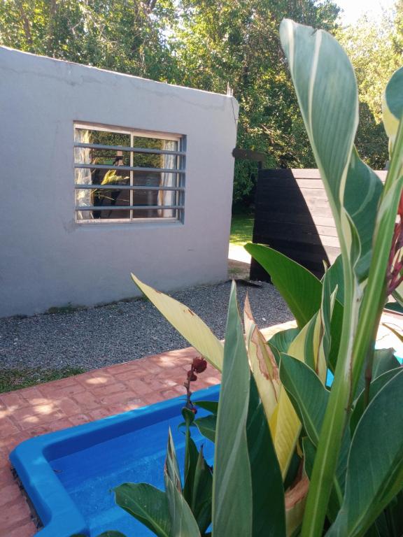 casa-quinta