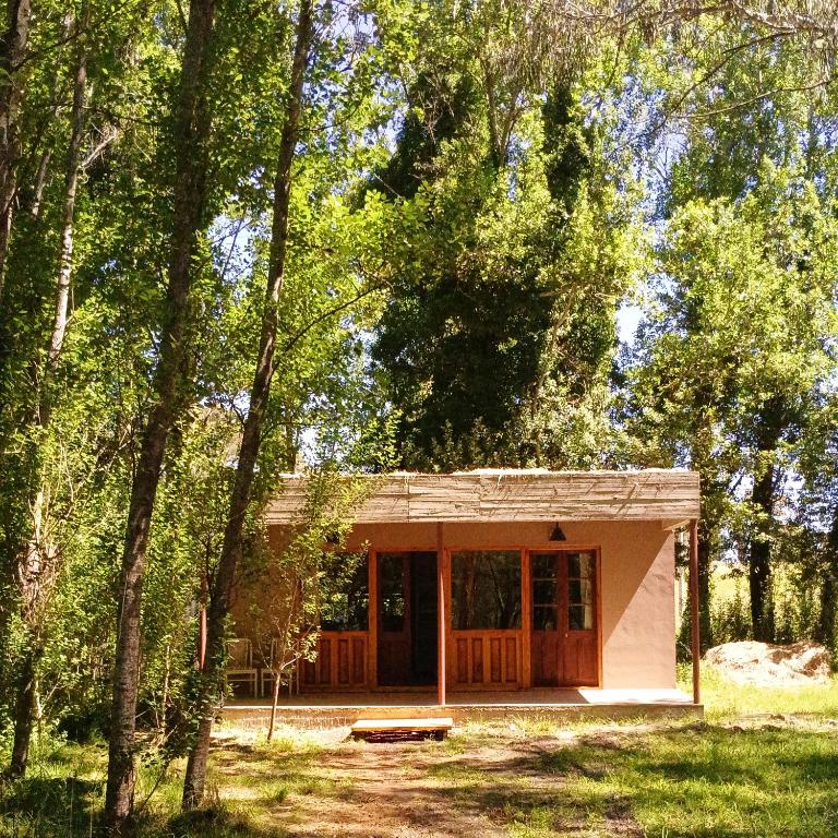 Cuenca del Bosque