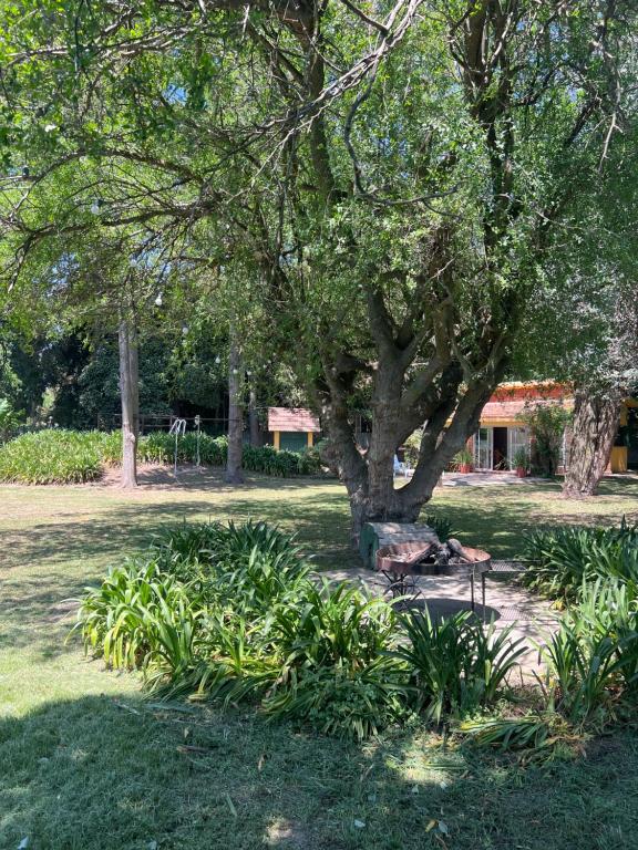 El Charquito Chascomus