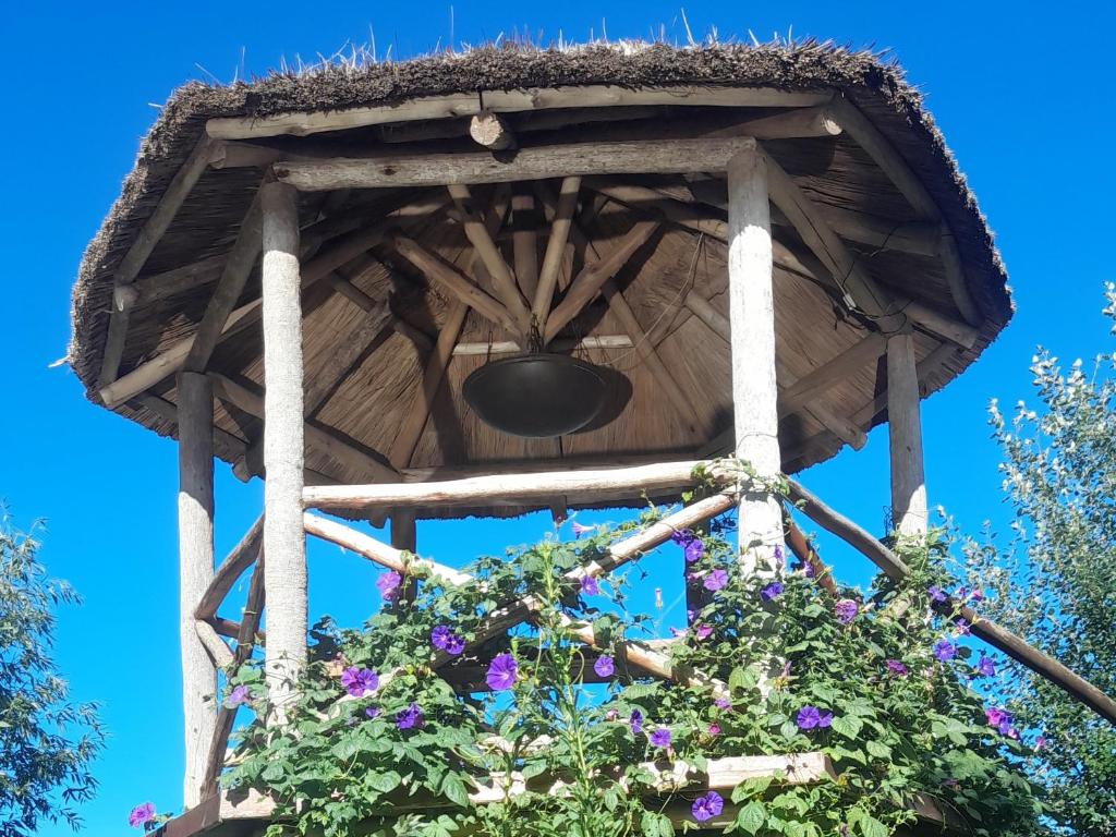 Los furgones de Areco