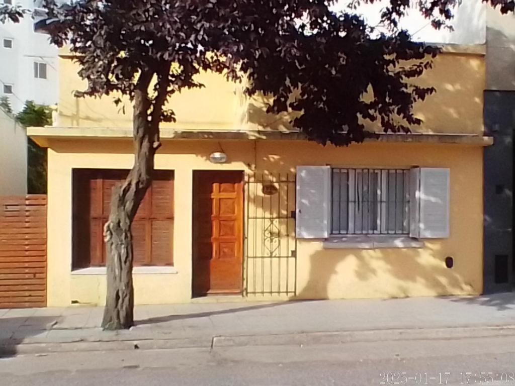 house city