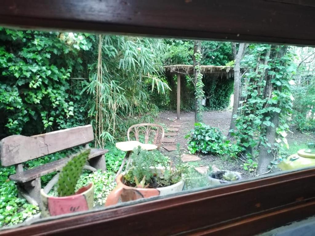 La casa de Caro