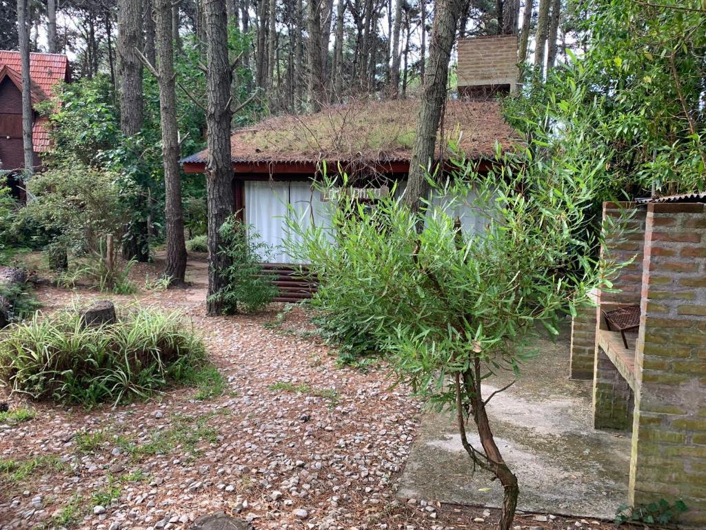 Cabaña Lemu Unku, El Pinar -6 personas-