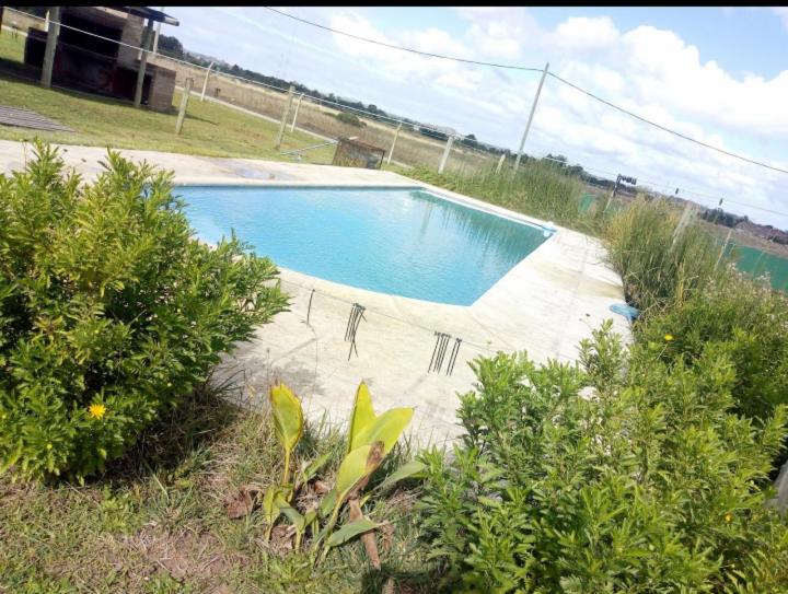 Quinta Apai
